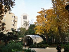 “探厕”博主,为何盯上了上海?