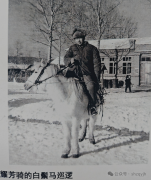 �·����ա�