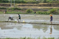 ��ũ���䣨�ţ�