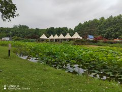 AI医生住进你身体,这10大黑科技把医院直接“搬”回家!