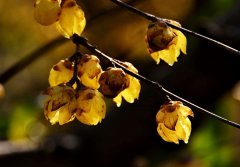 ���Լ�һ����