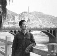 ֪�����������ǣ��У�