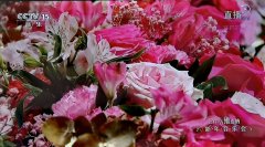 һ��һ��ͬ���� ��ҵƻ���Բ