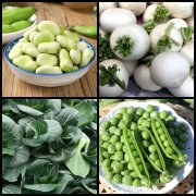 �������������������ʲ˲��ϵ�