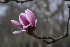 ����Ӧ���� ���겻Υʱ