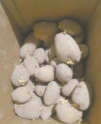 ʳ�÷�ѿ���� ���Ӹ�ʹ������