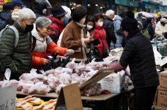 �׼����� ��������������Ͷ��15��ִ�����