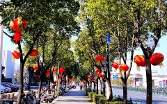 ����ʮ����Ԫ��