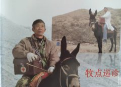 �Ϻ�֪��ҽ�����򸻣�����õ��껪ڹ��ְ��