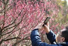 ������ζ