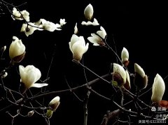 �����洺 ��ǽ���