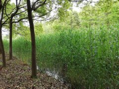 �����ֹ���ʮ�����