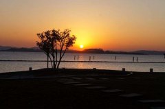 ������壬������Ϊ��ǿ��Ŀ���ҩ��