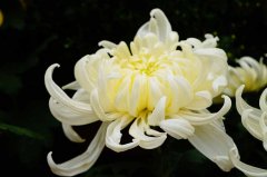 ��衪��׷˼�Ǹ�����