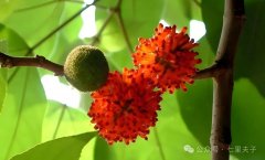 ��Թ���������