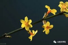 ��Ȥ�������͡�֮һ