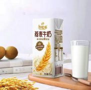 ţ�����������