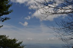 ���첻�÷�ɹ��Ϳ��ɹ����жױ��Ƥ����ҽ������