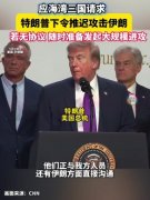 �����գ��������������Ƴٶ������´���������족