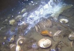 挪威海域发现18世纪沉船 大量中国瓷器重见天日