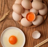 鸡蛋价缘何“淡季不淡”?