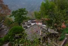 年轻人去医院“吸氧”:科学还是盲从?