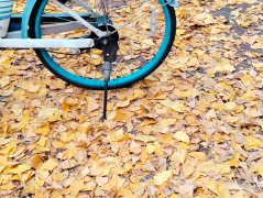 �������������ô���