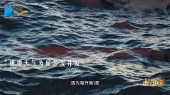 �»���̸���������ھ���ʲô��������仯��