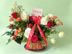 ����̩|��ܰ ���� ʦ�� ����һһ��·��֮��֮��