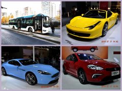 �������꺣���������ư�����